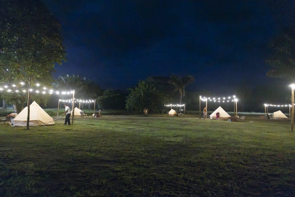 Tents set up in a field with string lights.