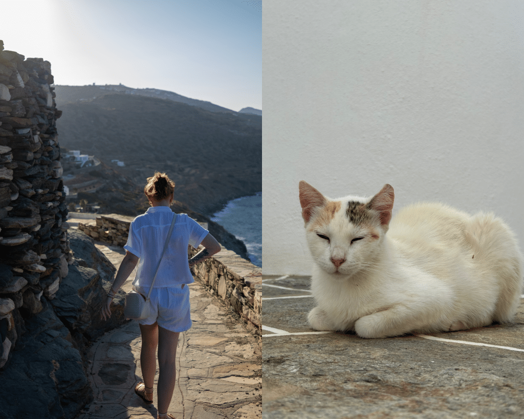 Picture of a woman walking down a cobble path with a view of the sea below. Another photo of a cat.