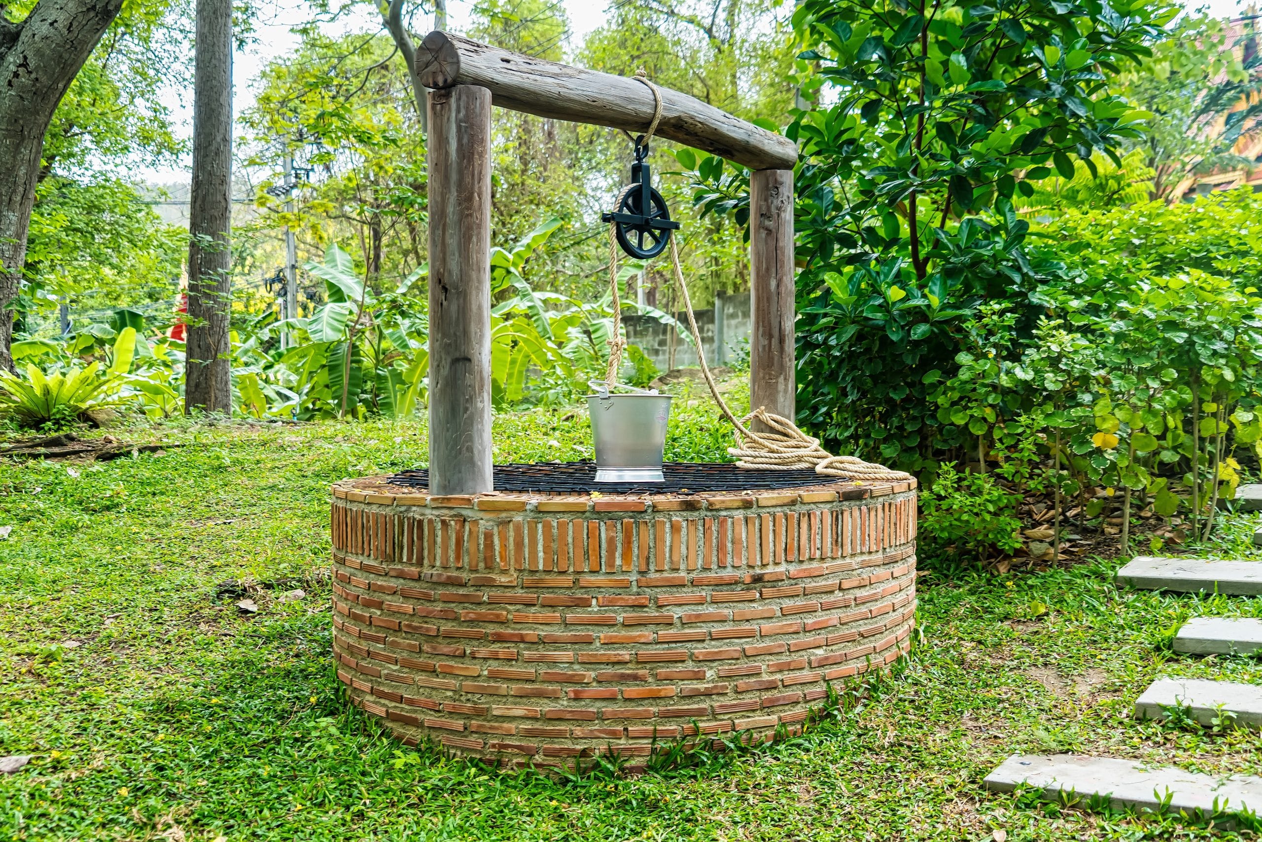 In a green forest, there is a well.