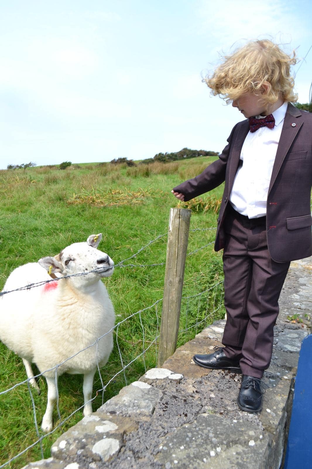 Seamie Sean with Sally in his yard in Donegal.
