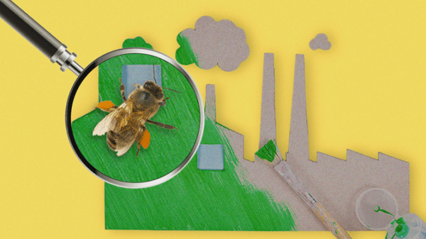 Pollinator populations are at risk due to climate change.