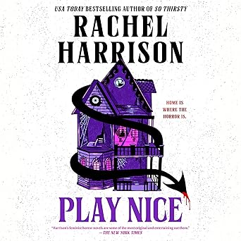Play Nice cover