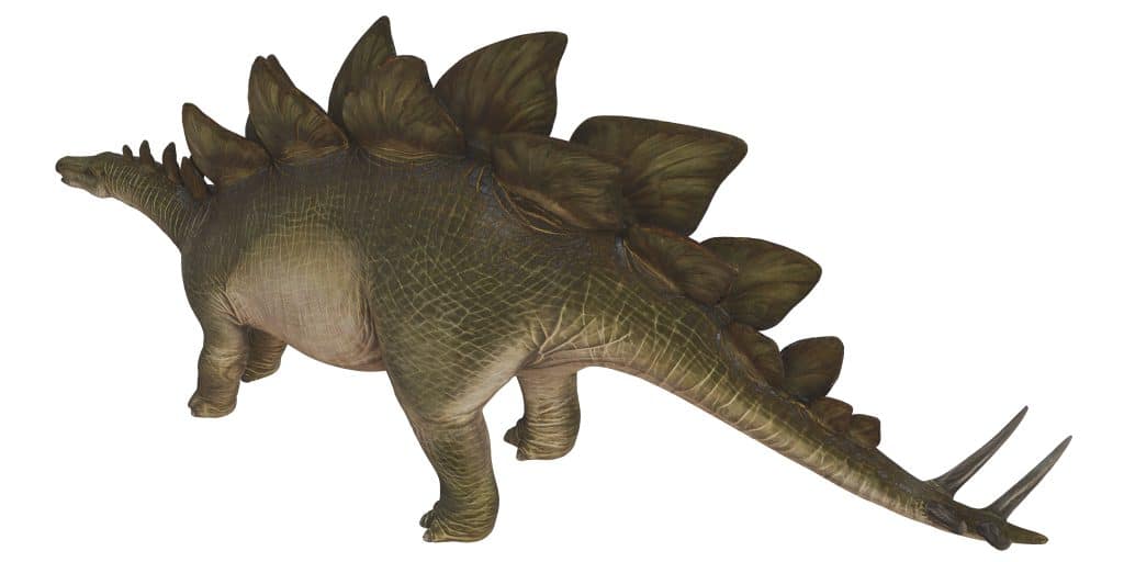 Realistic depiction of a Stegosaurus.