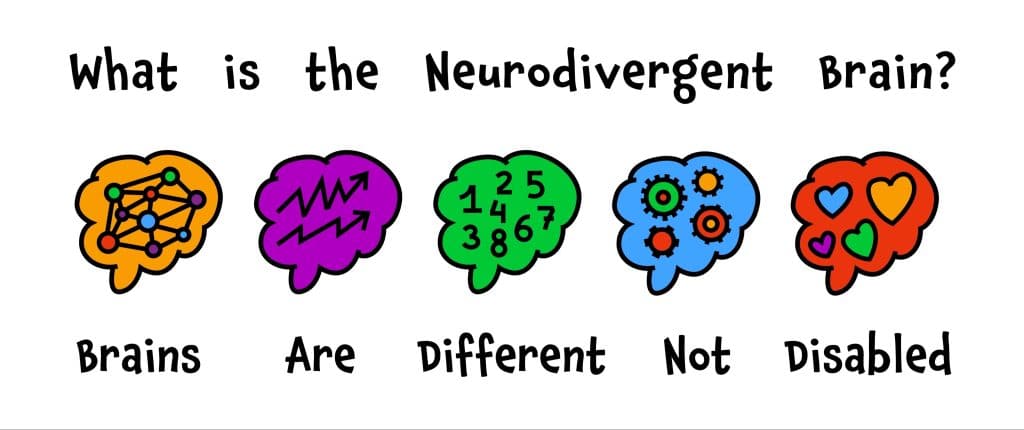 Image of different ways of thinking, with text that says "What is the Neurodivergent Brain? Brains Are Different Not Disabled".