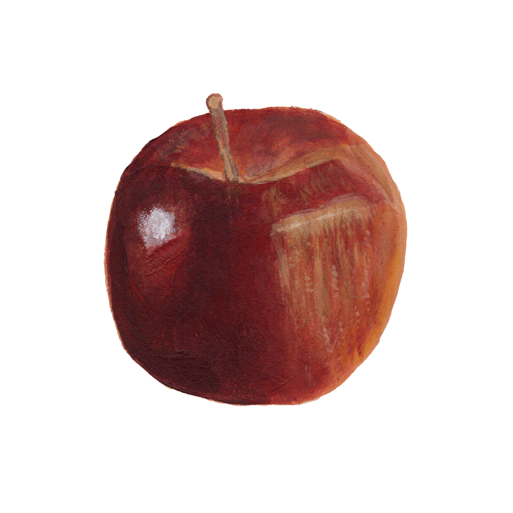 A hand-painted red Fuji apple.