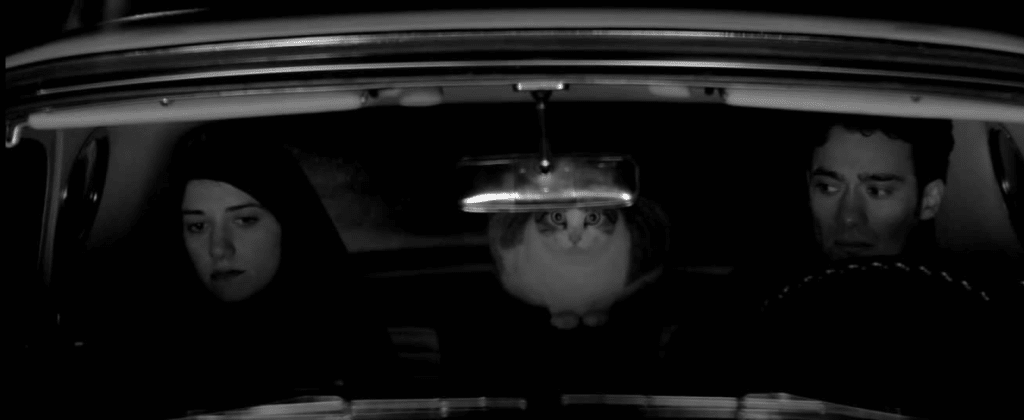 The Cat survives in this one! (A Girl Walks Home Alone At Night)