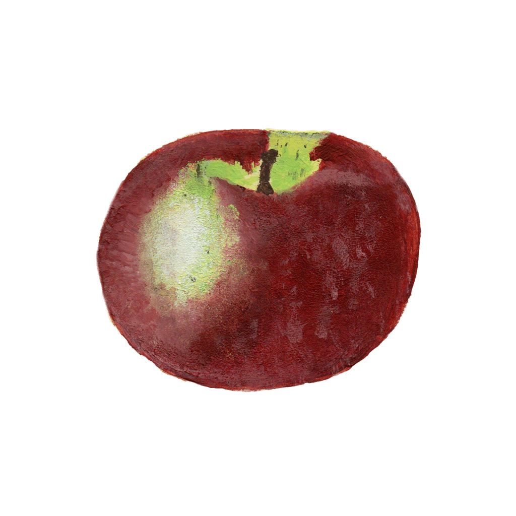 A hand-painted red and green McIntosh apple.