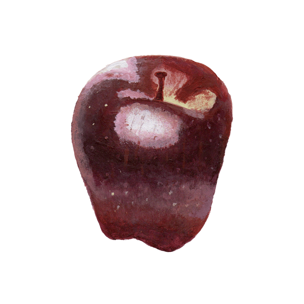 A hand-painted Red Delicious apple.