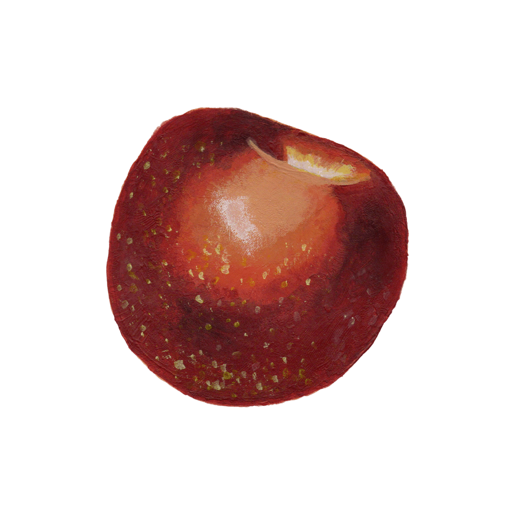 A hand-painted red SweeTango apple.