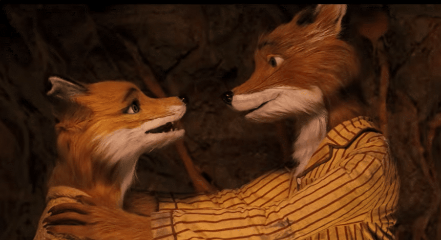 Mr and Mrs Fox talking to each other