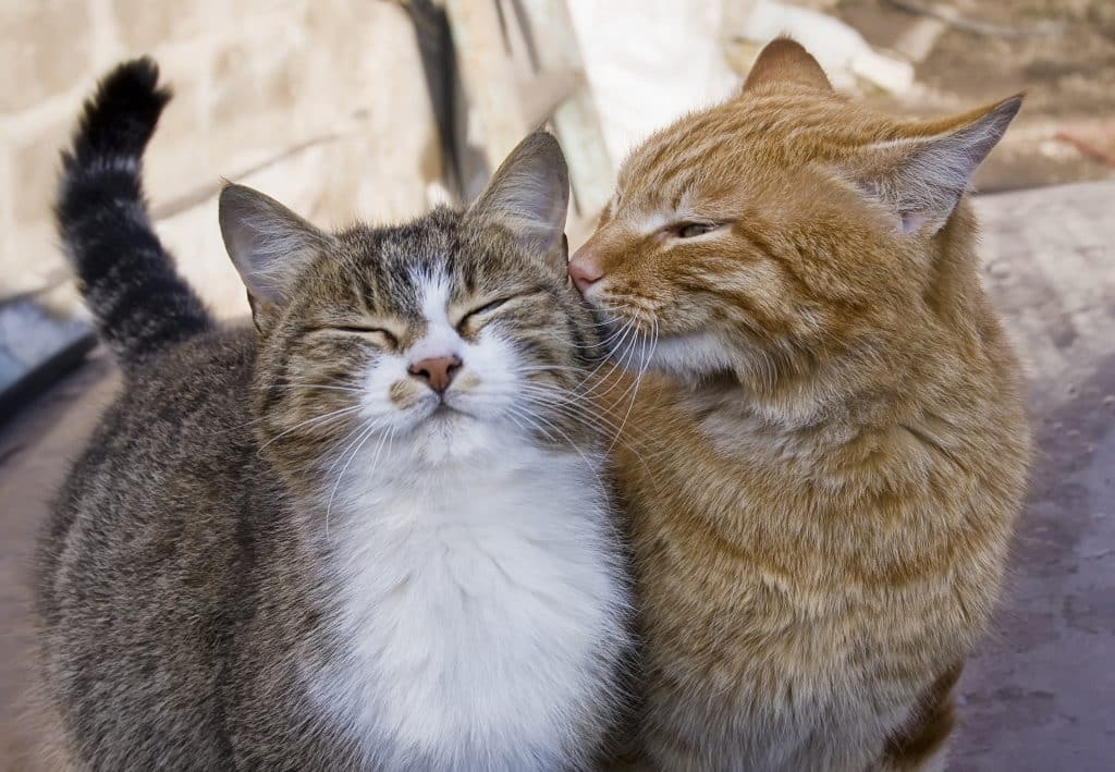 It's important to become intimate with your partners of all kinds