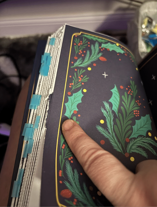 Advent book image