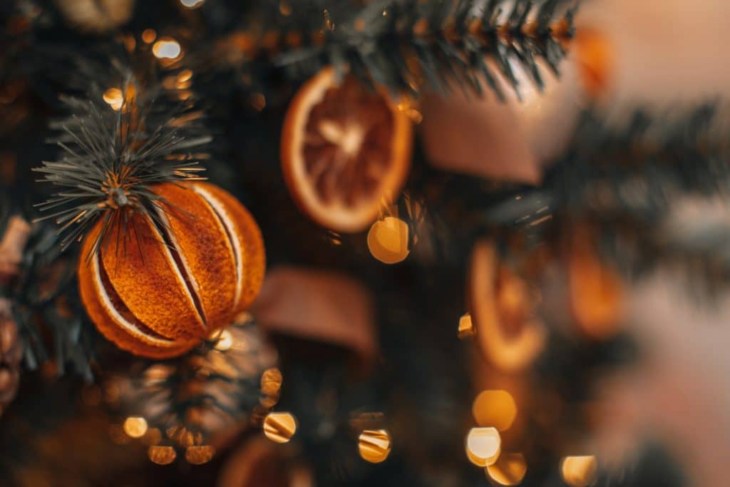 Dried orange ornaments decorating a Christmas Tree.