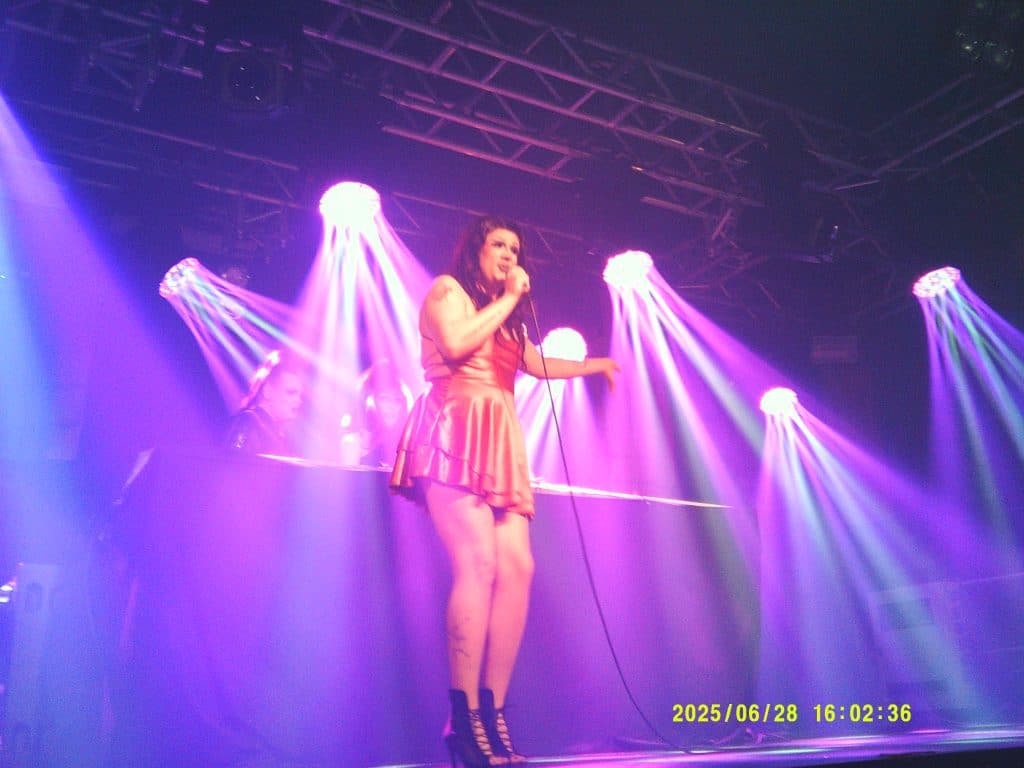 Picture of a drag queen performing in a show.