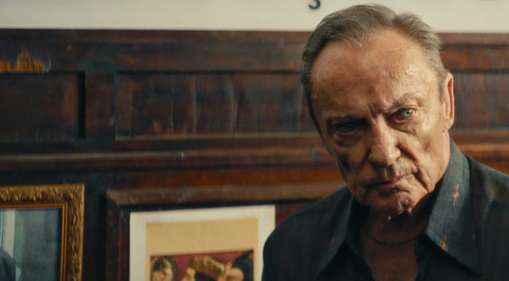 Hans (played by the late Udo Kier) staring sternly ahead.