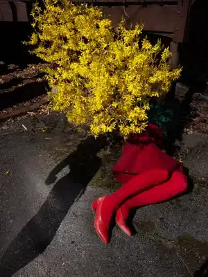 A full color photograph featuring a plant covering the top half of a body and legs laying on the ground. A shadow of a figure it next to the legs.