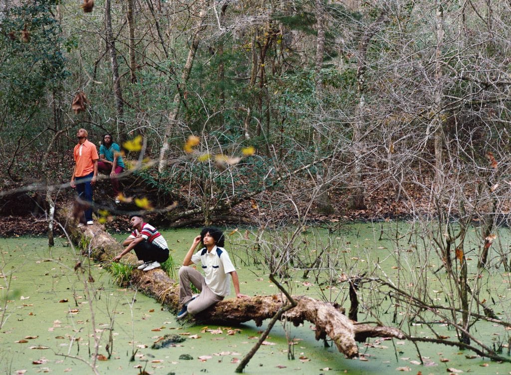 A full color photograph of males sitting on a tree branch, looking up at the sky reflectively over a body of water.