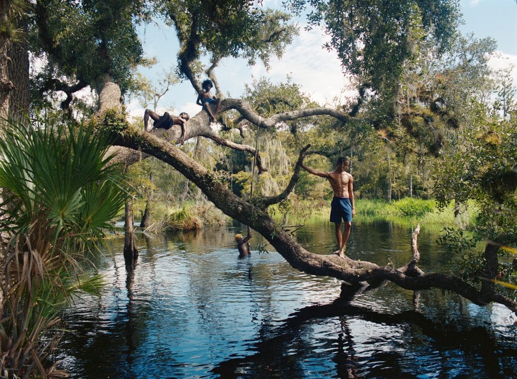 A full color photograph of males standing and hanging from a tree overhanging a body of water.