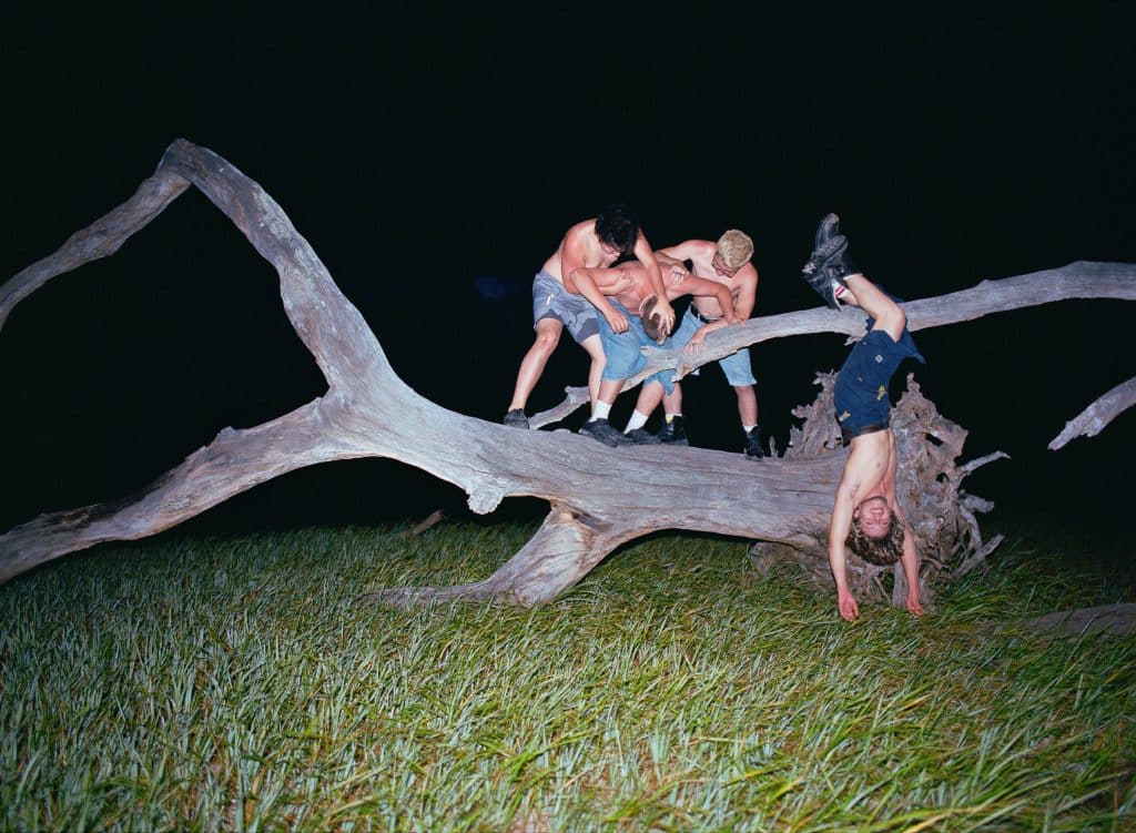 A full color photograph of males hanging from tree branch overhanging a body of water late at night.