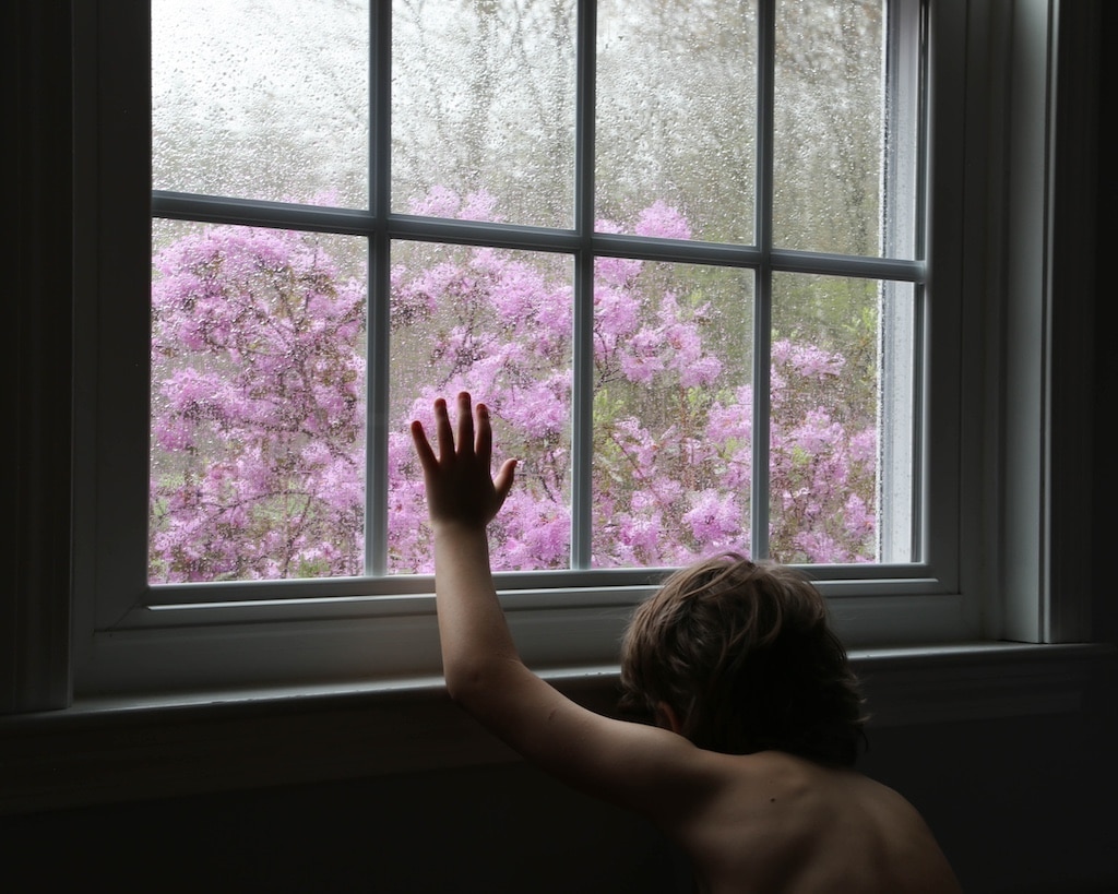A full color photograph of a shirtless young boy in front of a window, his hand on it. Outside the window is flowers and it is raining outside.