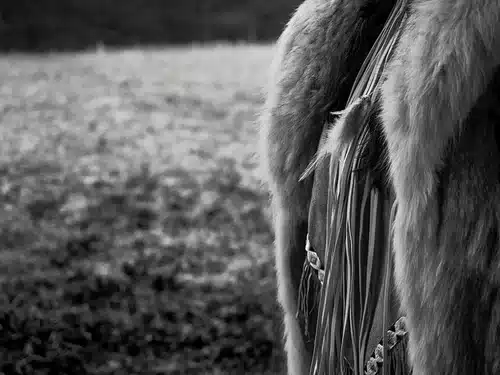 Black and white photograph of a blurred background with a sharp piece of fur-like clothing in the foreground.