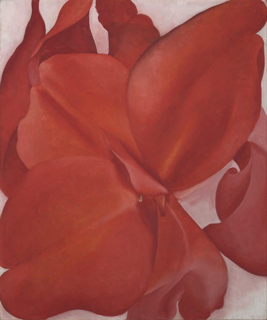 A big red flower takes almost the whole space of the Canva, expanding its petals to the very edges of the painting. It seems almost restrained, as if we forced it inside a box. The colors present in this art work are a vibrant red, light pinks and soft oranges.