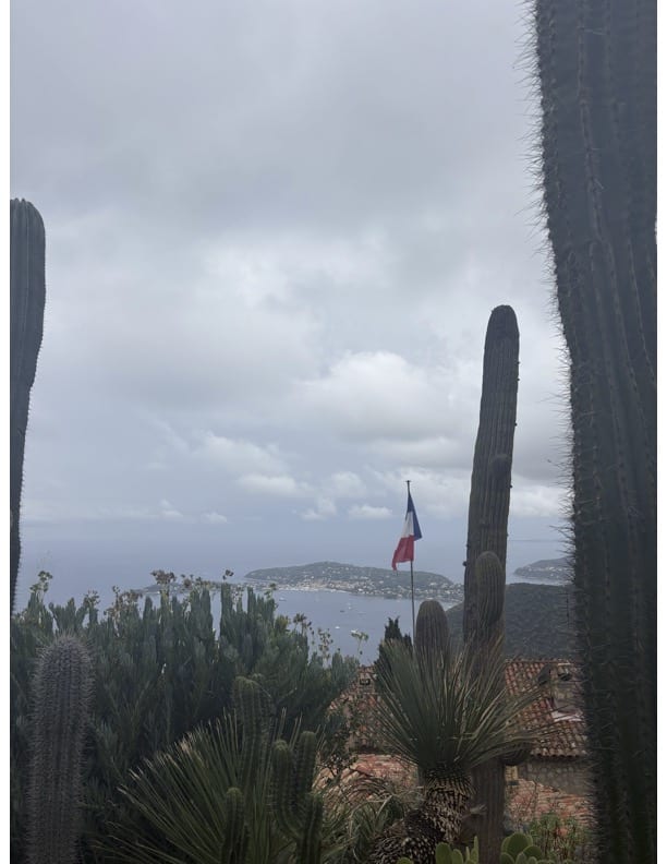 Picture of the Jardin Exotique, showing cactus plants and overlooking the French rivera. French flag also pictured in the background.