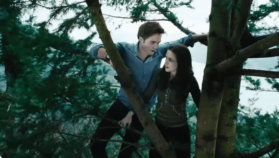 Edward and Bella in a tree