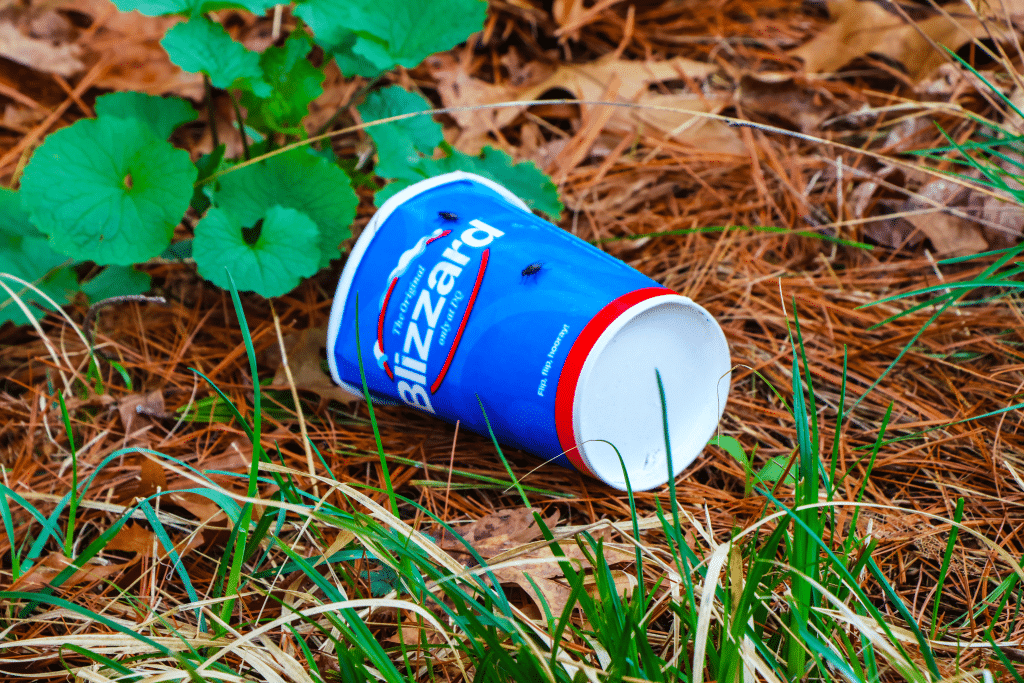 Full color photograph of a Dairy Queen Blizzard cup lying in a grassy area, flies on it.