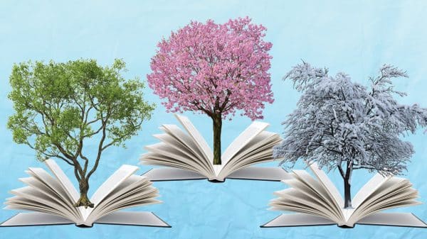 Three books laid out flat, each with a seasonal tree in the center.