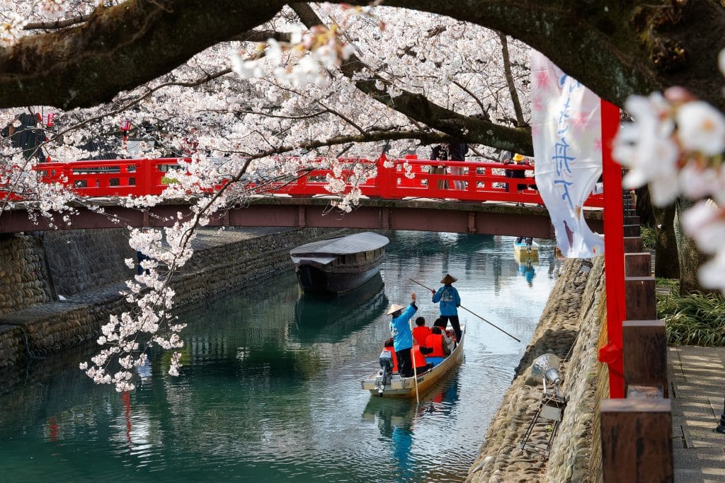 A boat floating under a red bridge with cherry blossoms overhead.