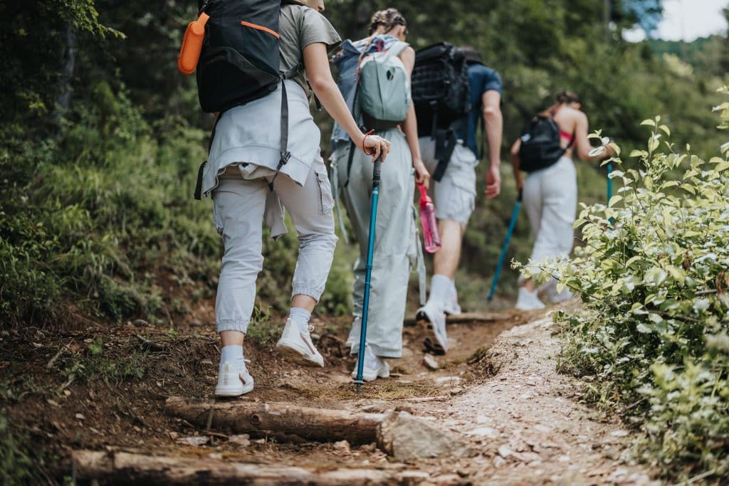 Four young adults hiking on a forest trail