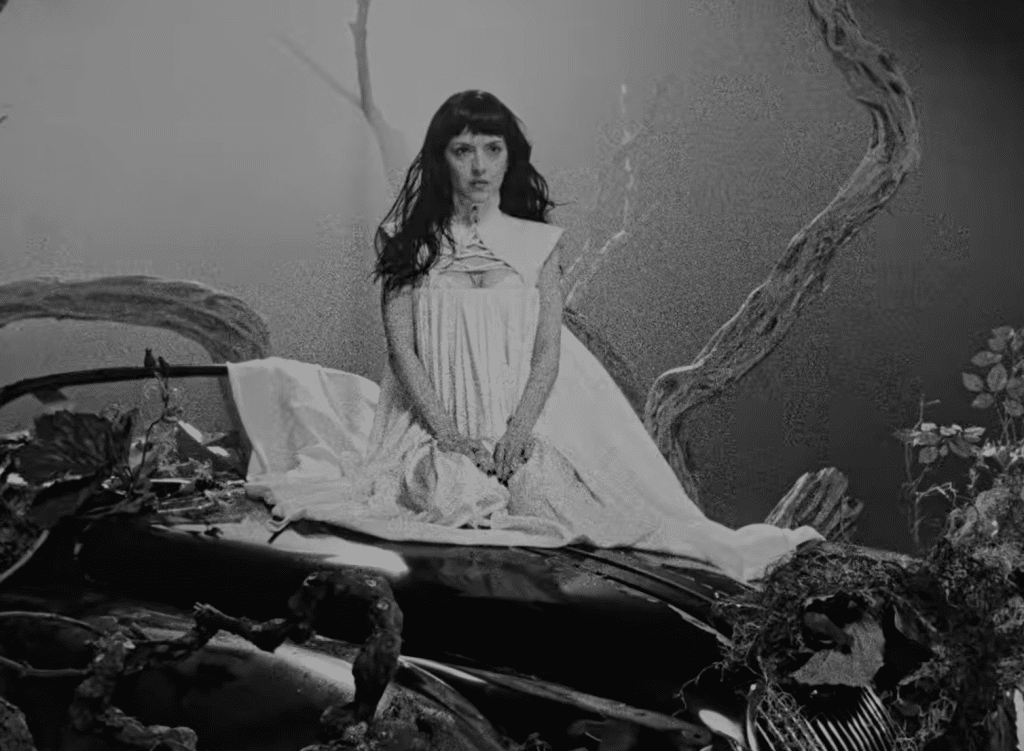 María Zardoya in the Ache music video. She's on a car in a forest.