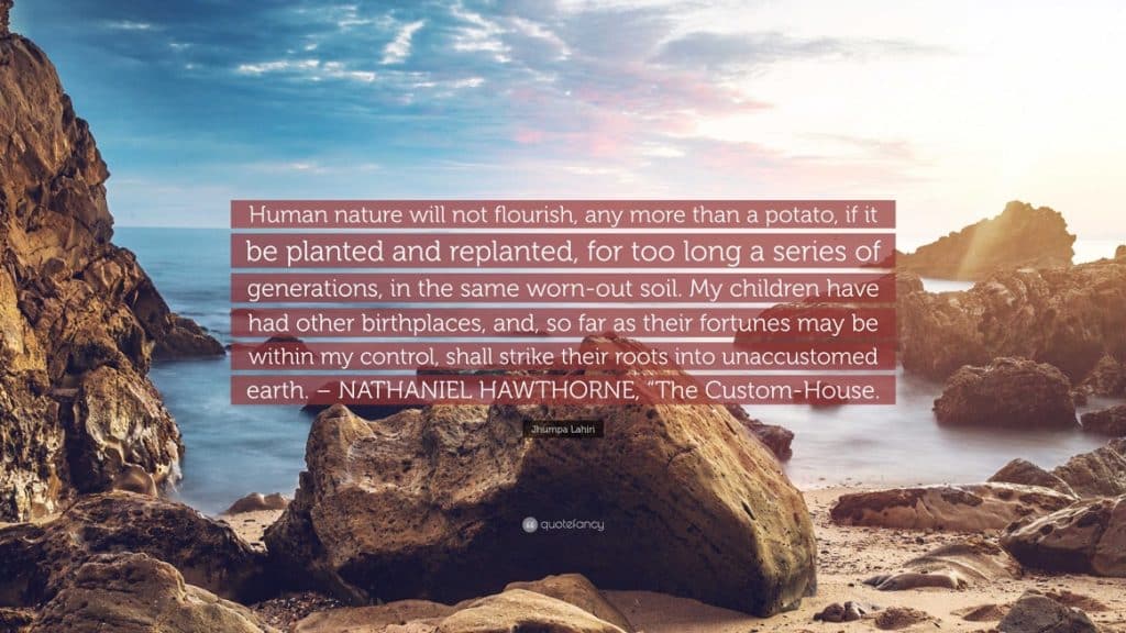a quote by Nathaniel Hawthorne with a backdrop of the ocean.