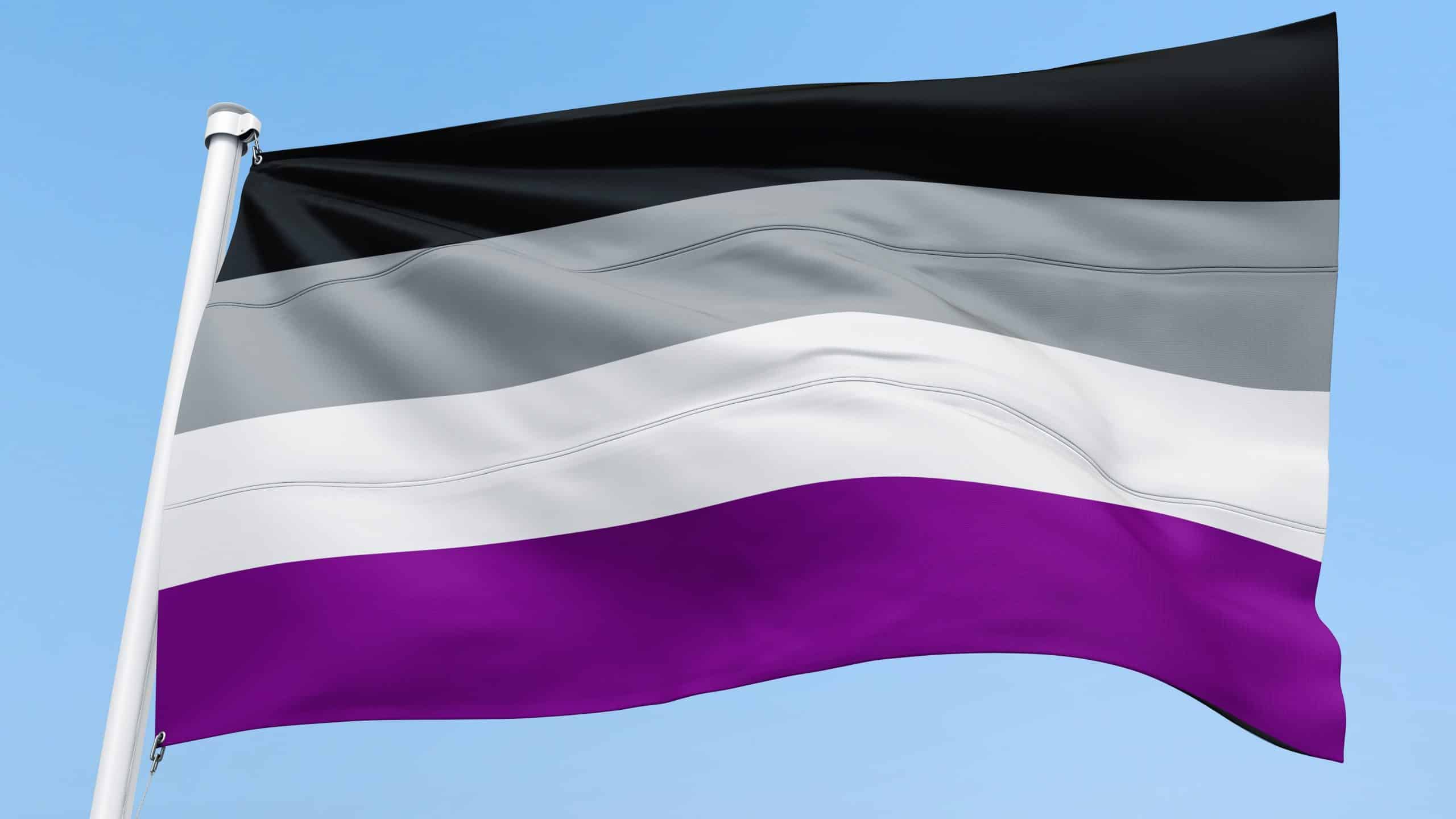 The asexual flag (Shutterstock/Svet foto)