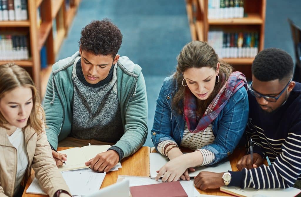 University/Higher Education students in the library