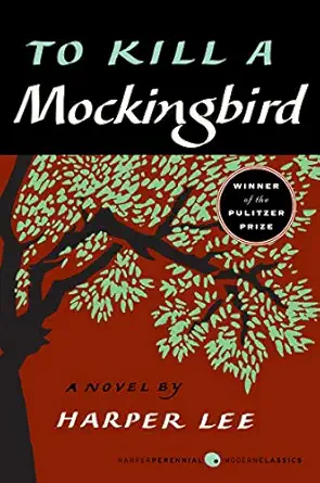 To Kill A Mockingbird by Harper Lee, a popular book read in school.