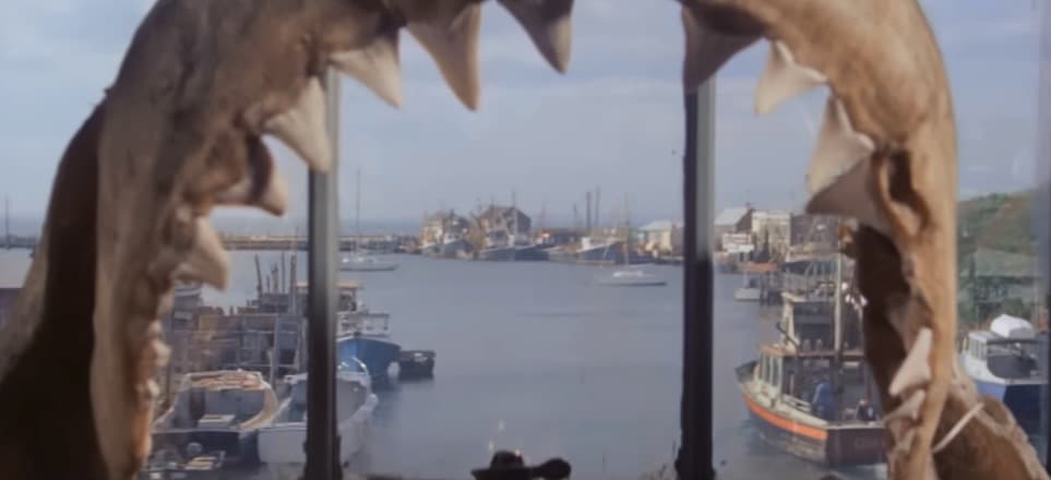 A close up of a shark jaw from the trailer for Jaws.