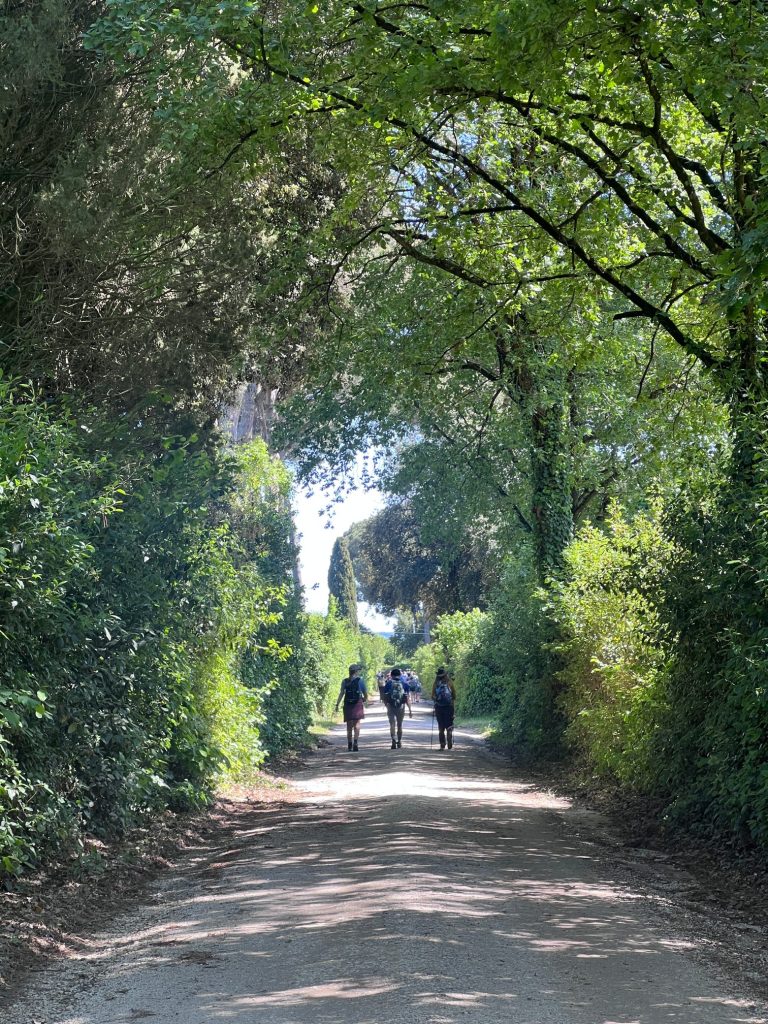 Three people walking along a wooded path.