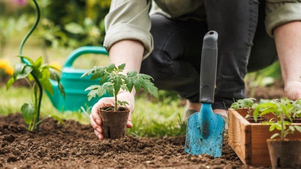 Gardening