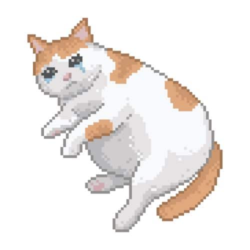 Pixel art of a white and orange cat crying.