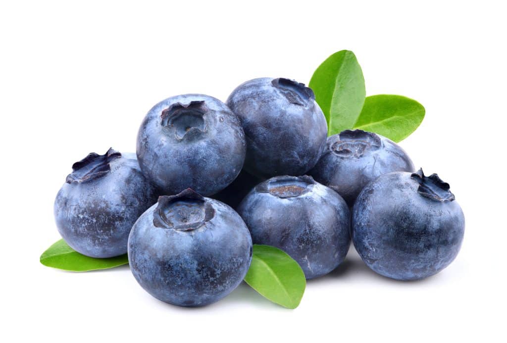 Blueberries