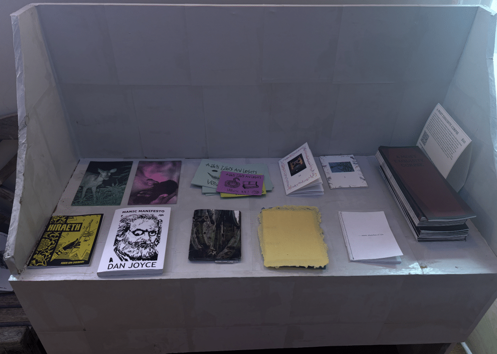 A number of hand-made and professionally printed zines, on display in the gallery.